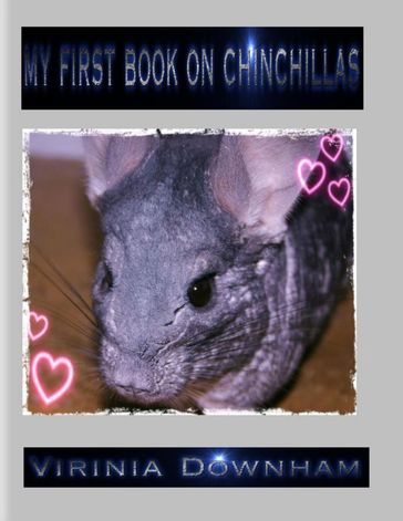 My First Book on Chinchillas - Virinia Downham