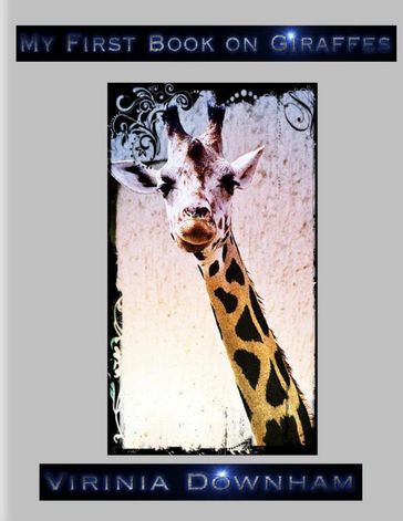 My First Book on Giraffes - Virinia Downham