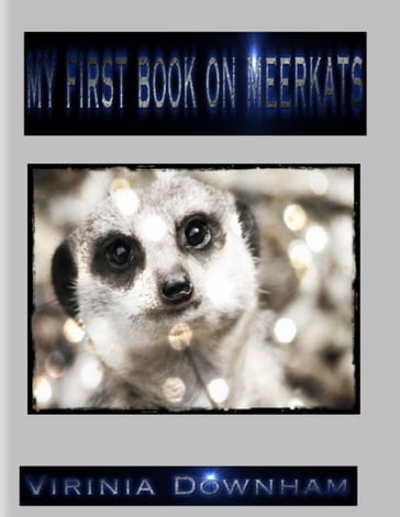 My First Book on Meerkats - Virinia Downham
