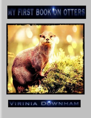 My First Book on Otters - Virinia Downham