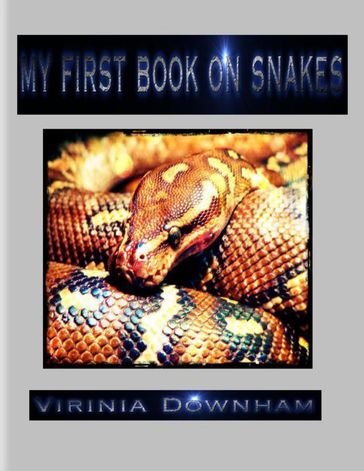 My First Book on Snakes - Virinia Downham