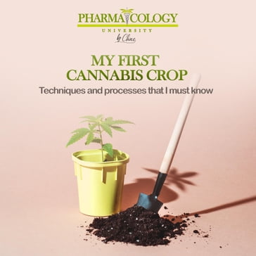 My First Cannabis Crop - Pharmacology University