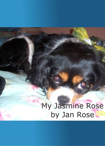 My Jasmine Rose - Jan Rose