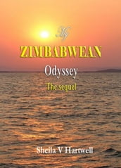 My Zimbabwean Odyssey-The sequel