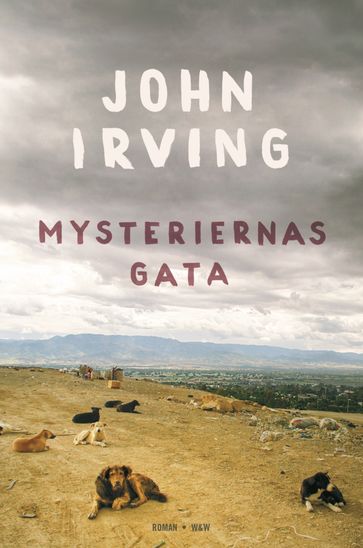 Mysteriernas gata - John Irving