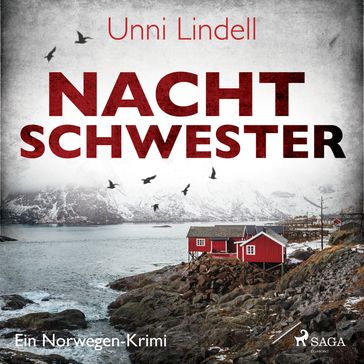 Nachtschwester - Ein Norwegen-Krimi - Unni Lindell