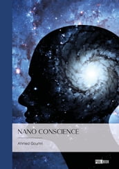 Nano conscience