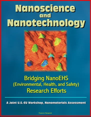 Nanoscience and Nanotechnology: Bridging NanoEHS (Environmental, Health, and Safety) Research Efforts: A Joint U.S.-EU Workshop, Nanomaterials Assessment - Progressive Management