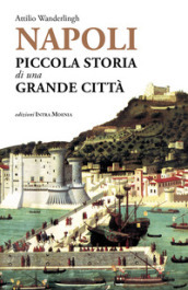 Napoli. Piccola storia di una grande città