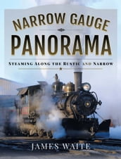 Narrow Gauge Panorama