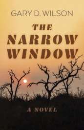 Narrow Window, The ¿ A Novel