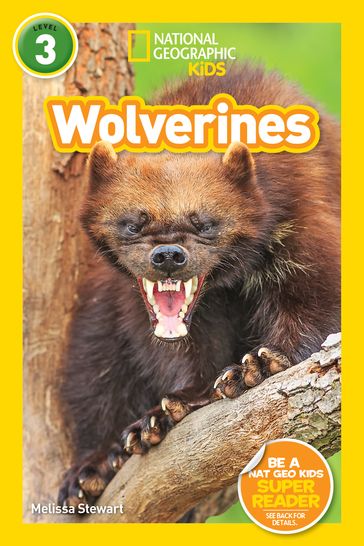 National Geographic Readers: Wolverines (L3) - Melissa Stewart