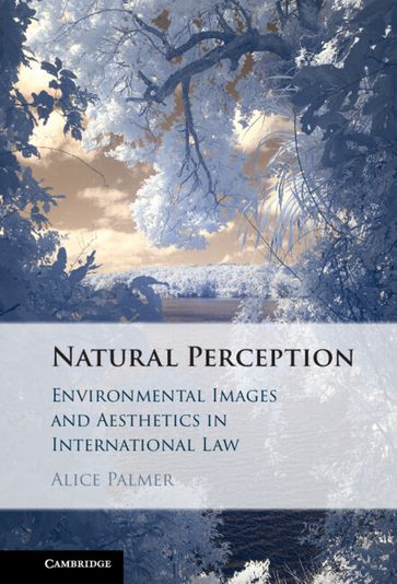 Natural Perception - Alice Palmer