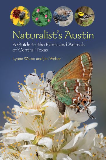 Naturalist's Austin - Lynne M. Weber - Jim Weber