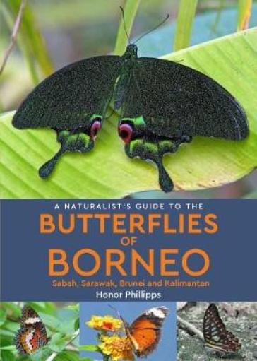 A Naturalist's Guide to the Butterflies of Borneo - Honor Phillipps
