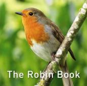 Nature Book Series, The: The Robin Book