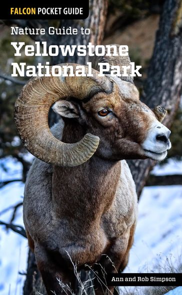 Nature Guide to Yellowstone National Park - Ann Simpson - Rob Simpson