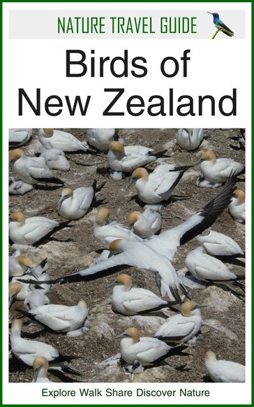 Nature Travel Guide: Birds of New Zealand - James Duncan