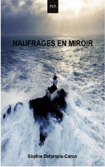 Naufrages en Miroir - Sophie Détample-Caron
