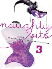 Naughty Bits 3