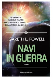 Navi in guerra