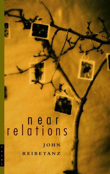 Near Relations - John Reibetanz