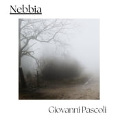 Nebbia