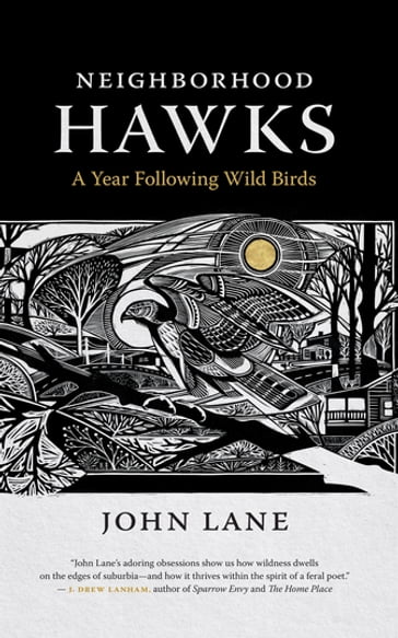 Neighborhood Hawks - Helen Correll - John Lane