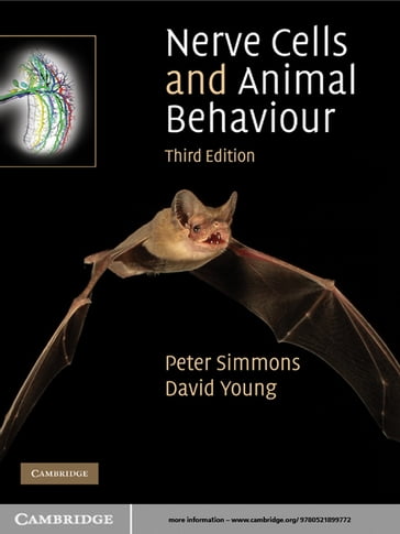 Nerve Cells and Animal Behaviour - David Young - Peter Simmons