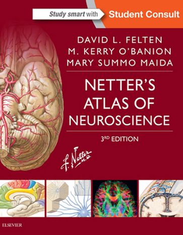 Netter's Atlas of Neuroscience E-Book - MD  PhD David L. Felten - M.D.  Ph.D. Michael K. O