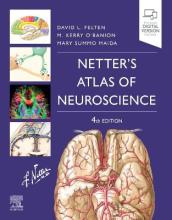 Netter s Atlas of Neuroscience