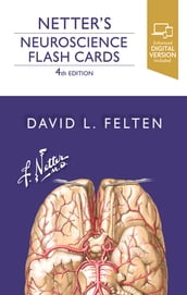 Netter s Neuroscience Flash Cards