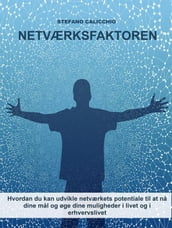 Netværksfaktoren