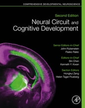 Neural Circuit and Cognitive Development