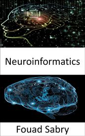 Neuroinformatics