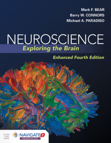 Neuroscience: Exploring The Brain, Enhanced Edition - Mark Bear - Barry Connors - Michael A. Paradiso