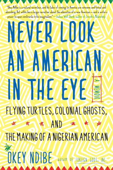 Never Look an American in the Eye - Okey Ndibe