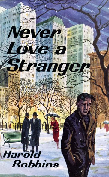 Never Love a Stranger - Harold Robbins