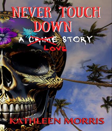 Never Touch Down - Kathleen Morris