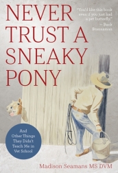 Never Trust a Sneaky Pony