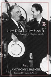 New Deal / New South