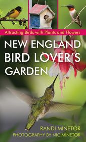 New England Bird Lover s Garden