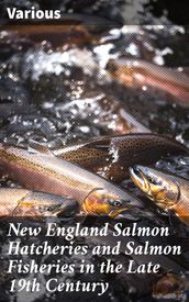 New England Salmon Hatcheries and Salmon Fisheries in the Late 19th Century