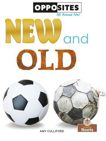New and Old - Amy Culliford