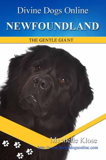 Newfoundland Dog - Mychelle Klose