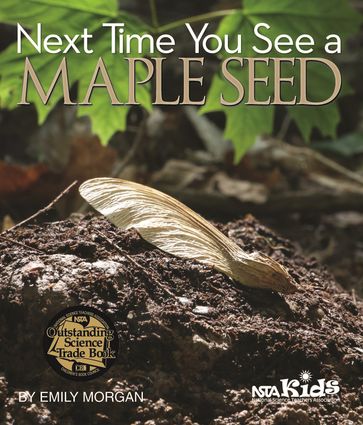 Next Time You See a Maple Seed - Emily Morgan