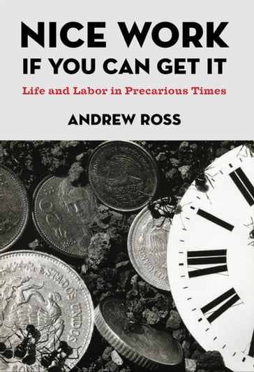 Nice Work If You Can Get It - Andrew Ross