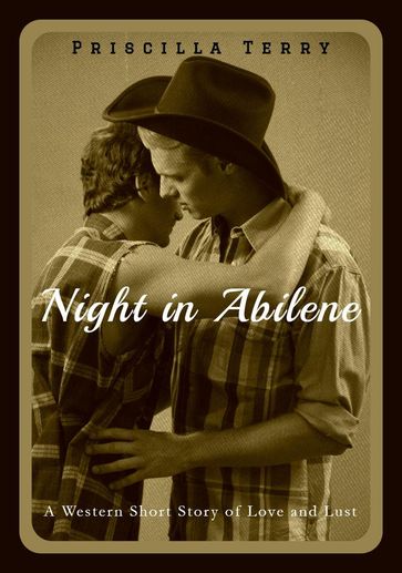 Night in Abilene: A Western Short Story of Love and Lust - Priscilla Terry