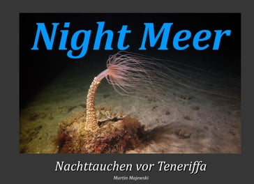 Night Meer - Martin Majewski