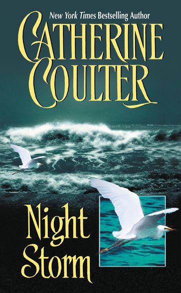 Night Storm - Catherine Coulter